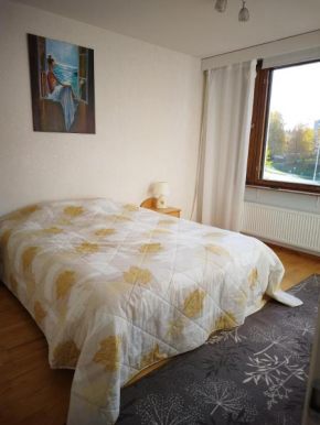 Skandinavisen taiteilijan 2 h huoneisto 2 Lahti